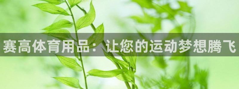 欧陆官网下载：赛高体育用品：让您的运动梦想腾飞