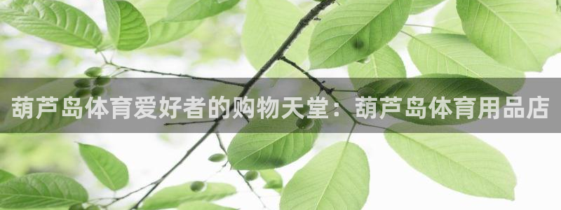 欧陆娱乐稳中：葫芦岛体育爱好者的购物天堂：葫芦岛体育