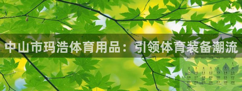 欧陆娱乐平台登陆地址在哪改：中山市玛浩体育用品：引领