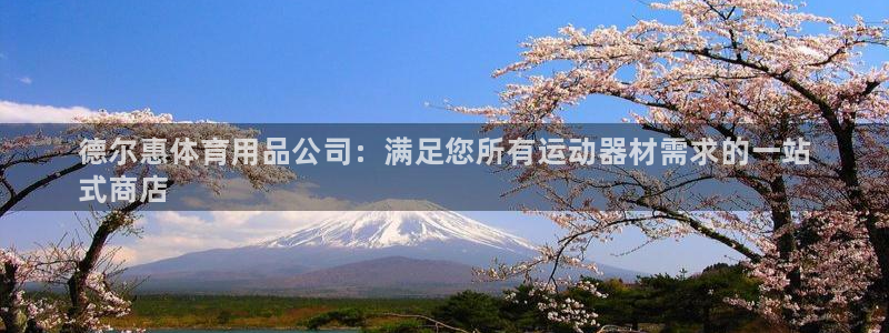 欧陆娱乐测试网站:德尔惠体育用品公司:满足您所有运动器材需求